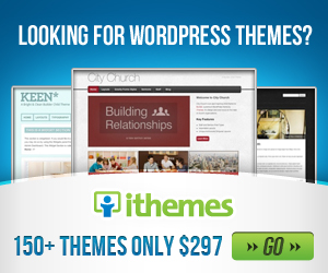 iThemes - Premium WordPress themes and plugins